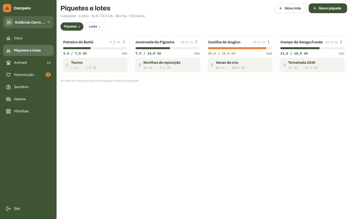 Tela de piquetes e lotes do Campeio, uma coluna por piquete, com a lotação de cada um e um deles acima da capacidade